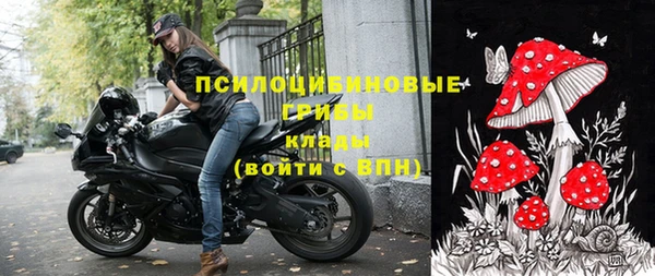 крисы Белоозёрский