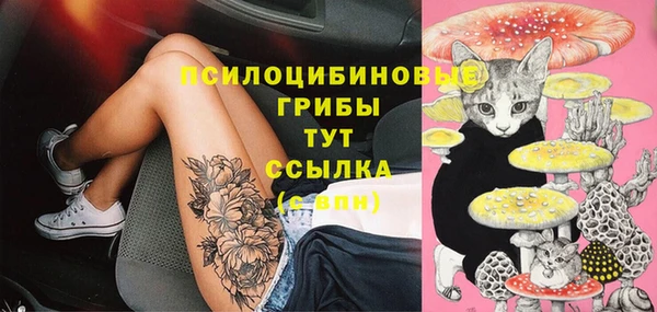 крисы Белоозёрский