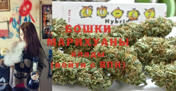 крисы Белоозёрский