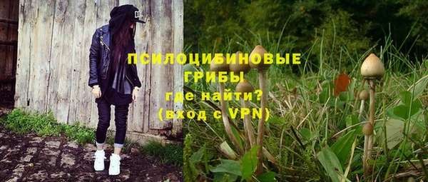 крисы Белоозёрский