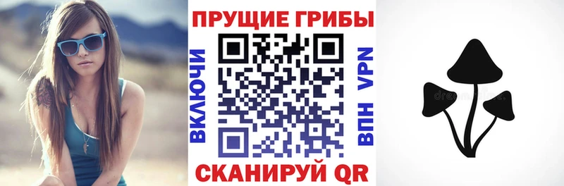 Псилоцибиновые грибы Psilocybe  Купить  Жуковка 